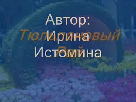 Тюльпановый Рай – смотреть видео онлайн в Моем Мире | Irina Popova